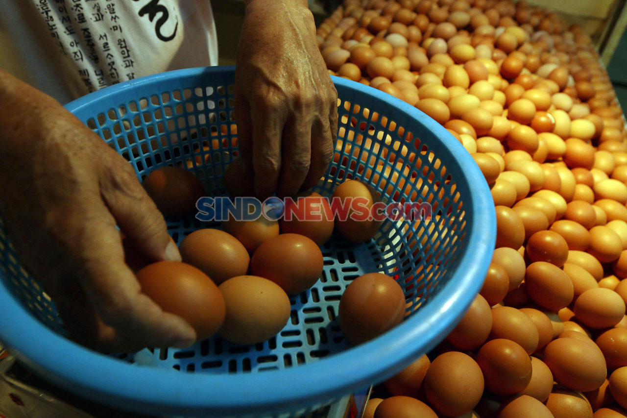 Harga Telur Ayam Naik...