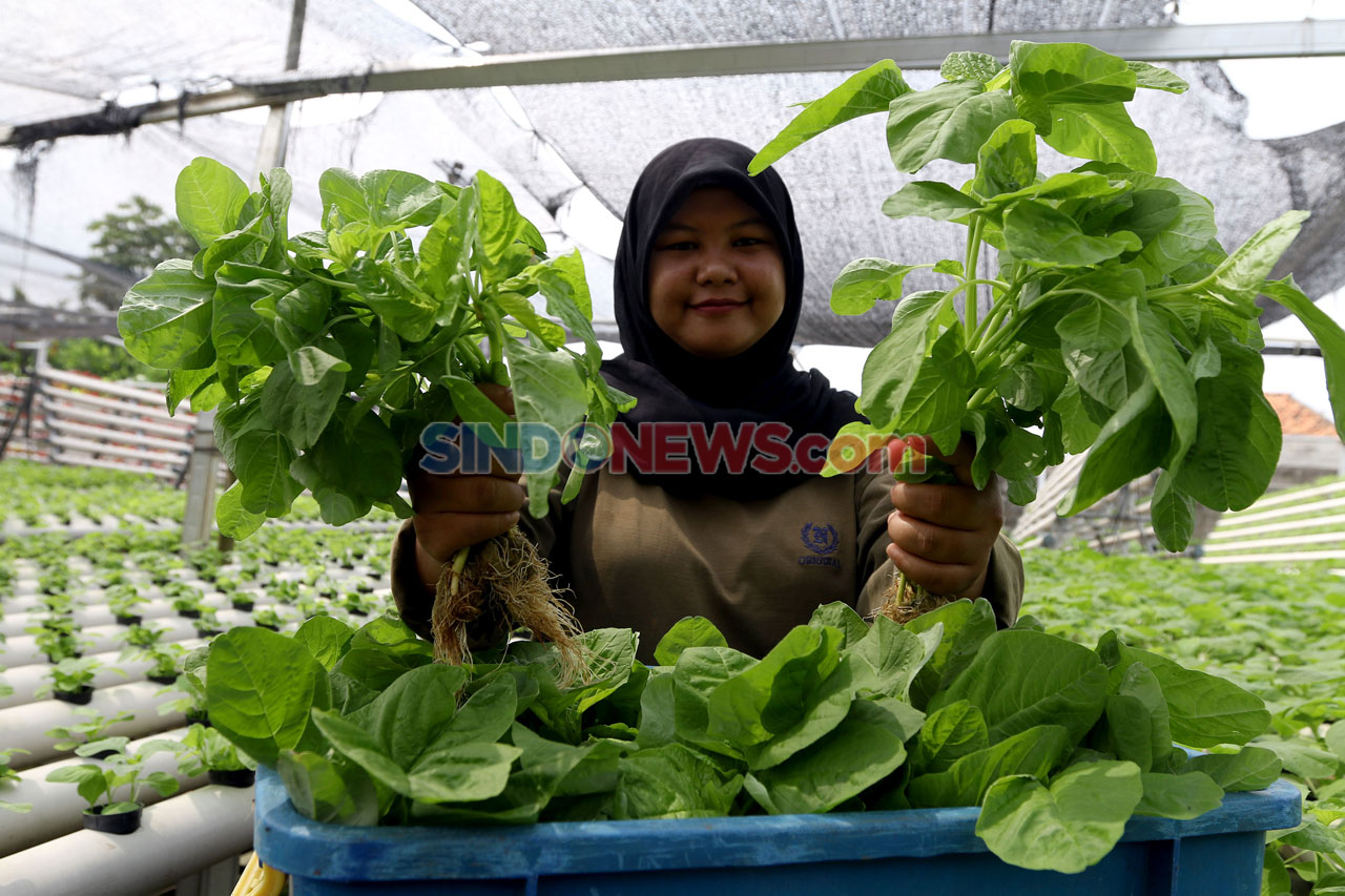 Pandemi COVID-19, Permintaan...