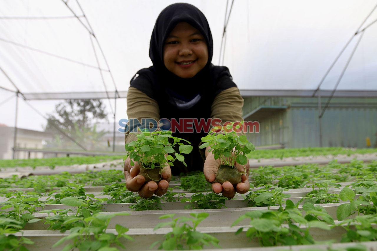 Pandemi COVID-19, Permintaan...