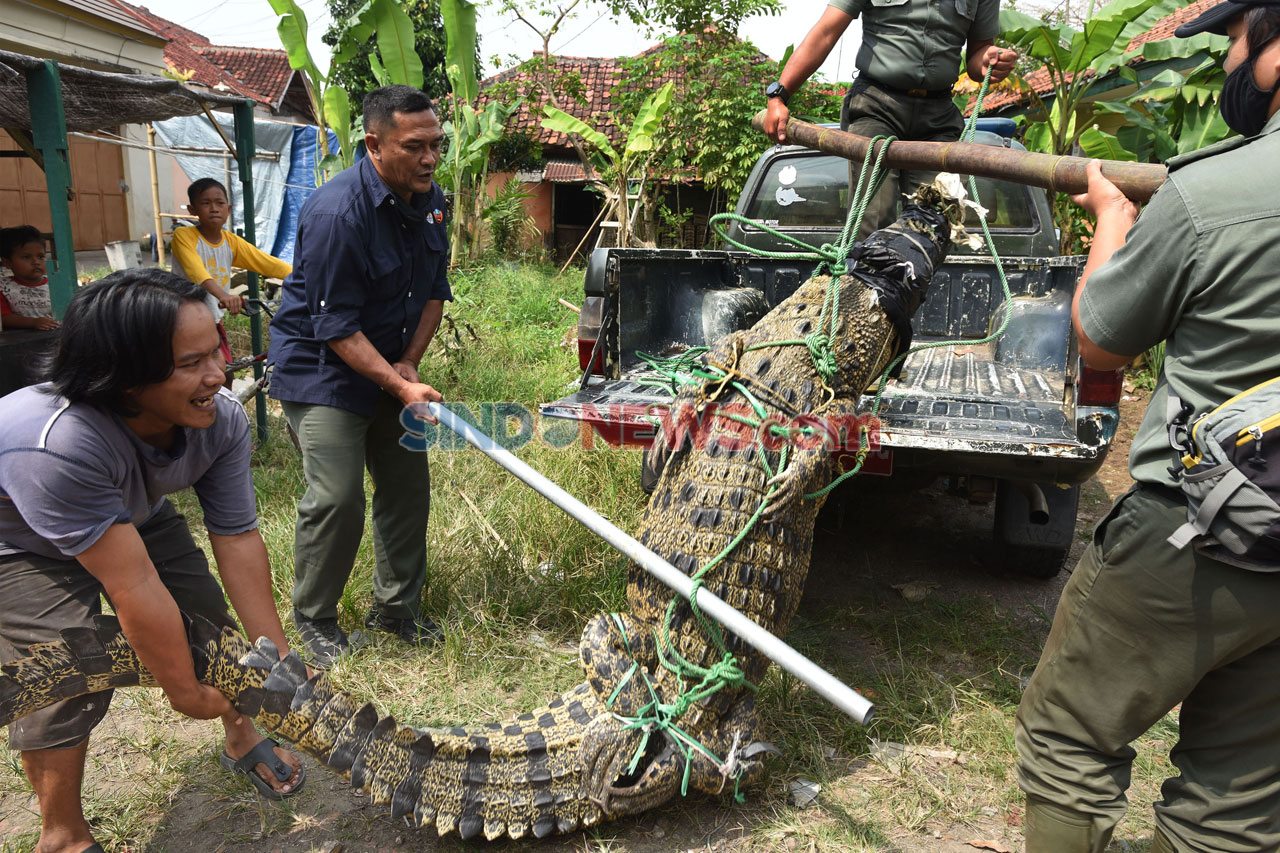 BKSDA Banten dan Warga...