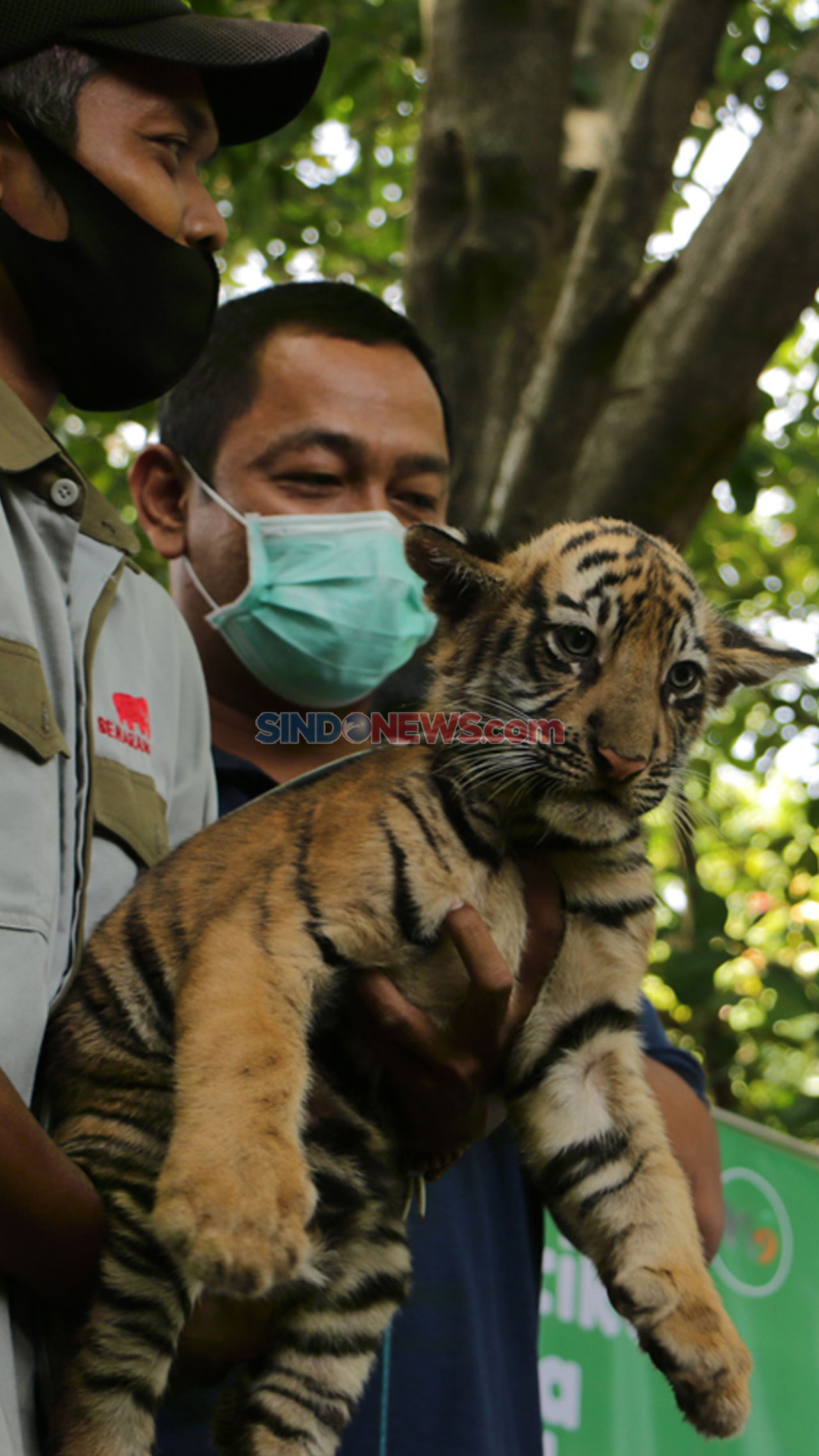 Semarang Zoo Kembali...