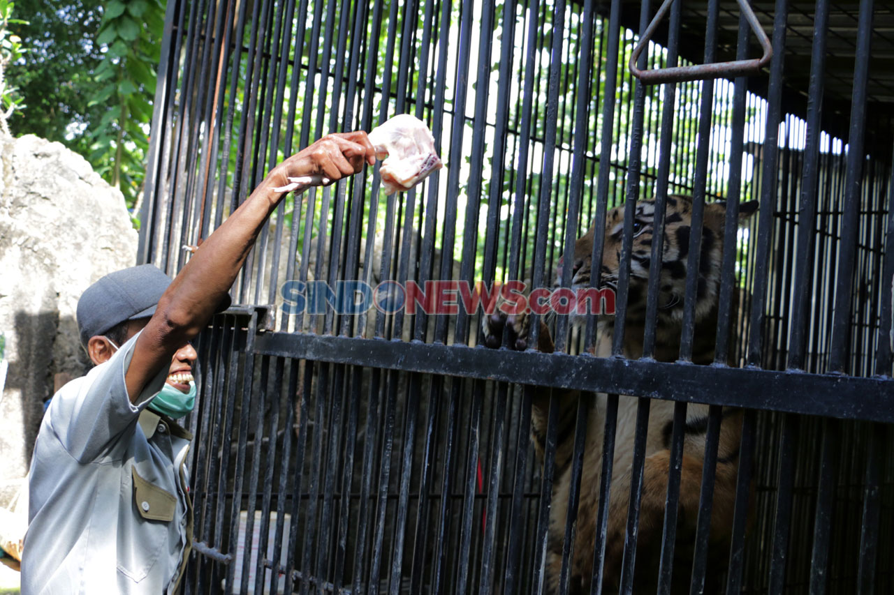 Semarang Zoo Kembali...