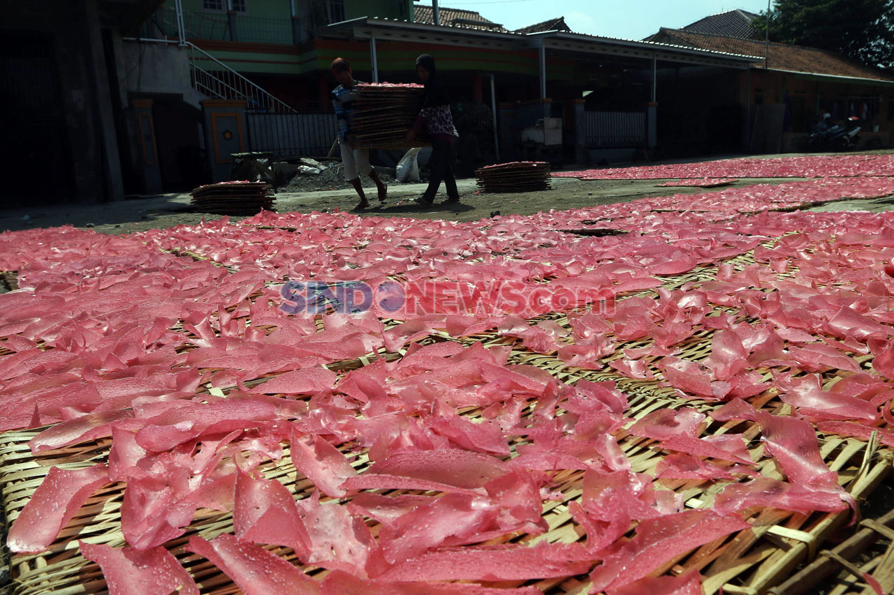 Produksi Kerupuk Merah...