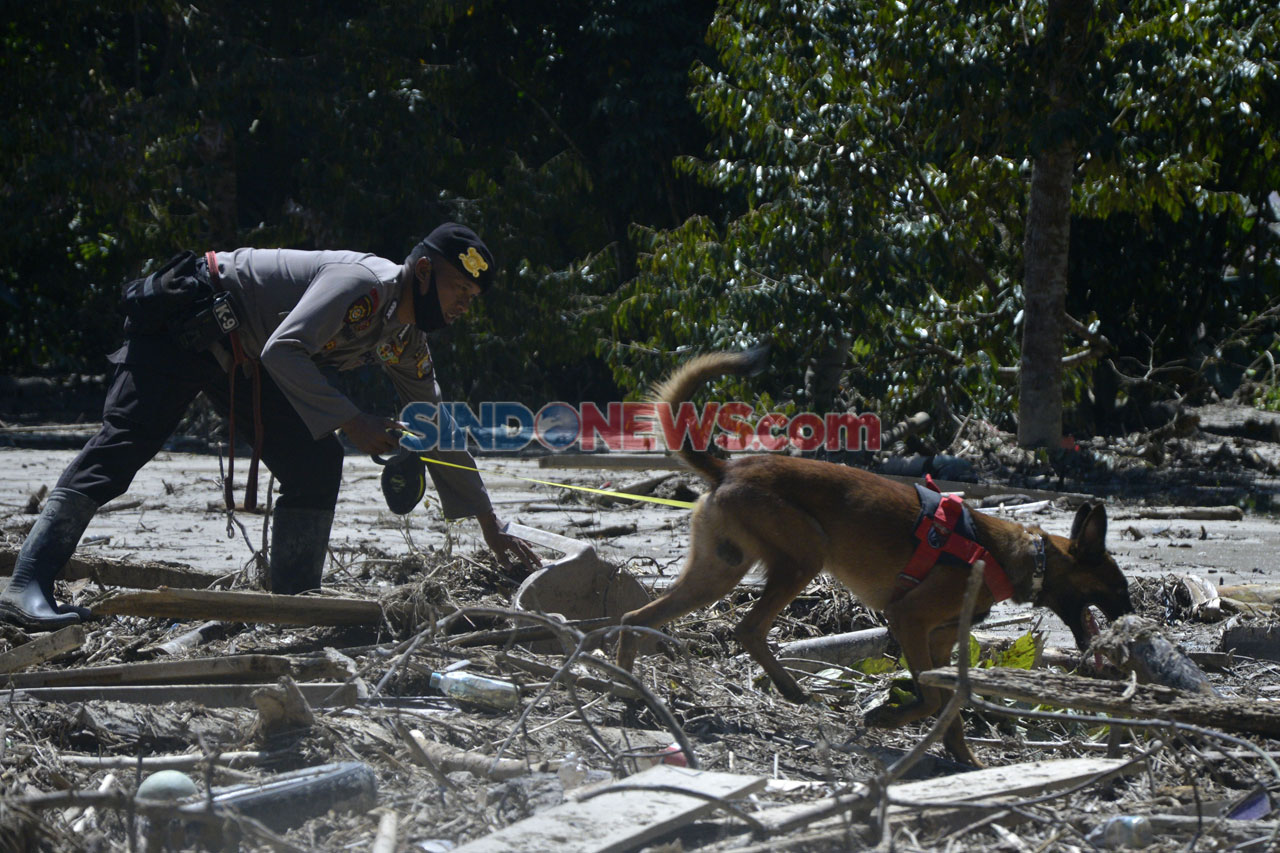 Polisi Kerahkan Anjing...