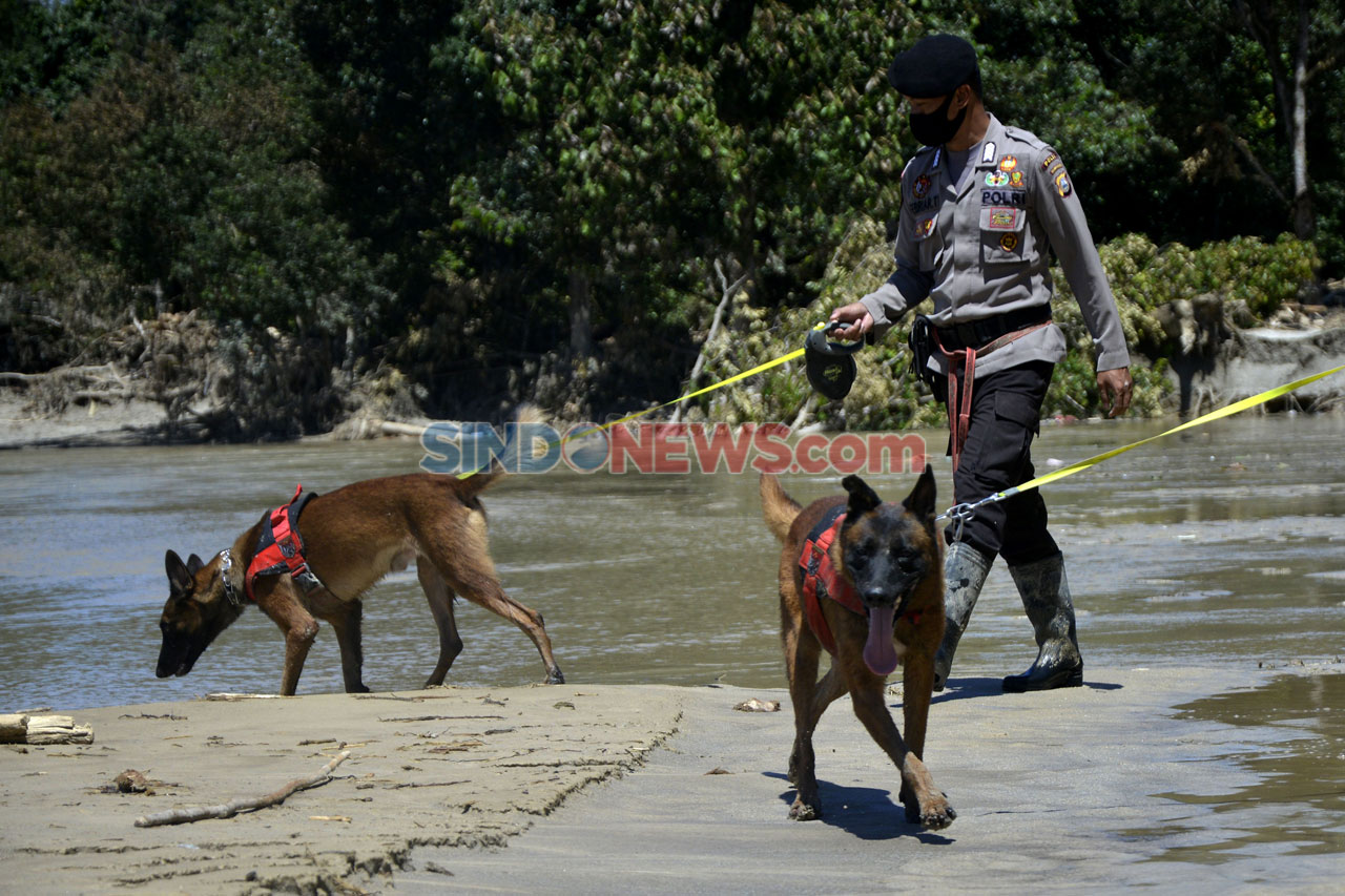Polisi Kerahkan Anjing...