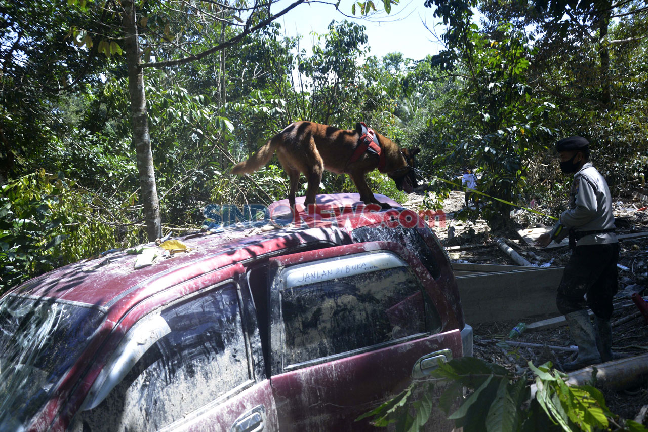 Polisi Kerahkan Anjing...