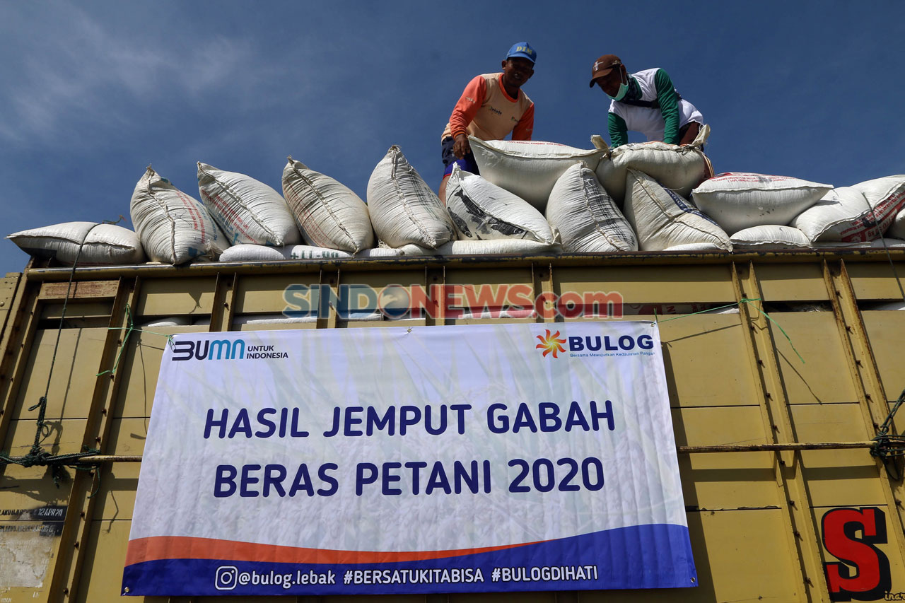 Panen Raya di Pandeglang,...