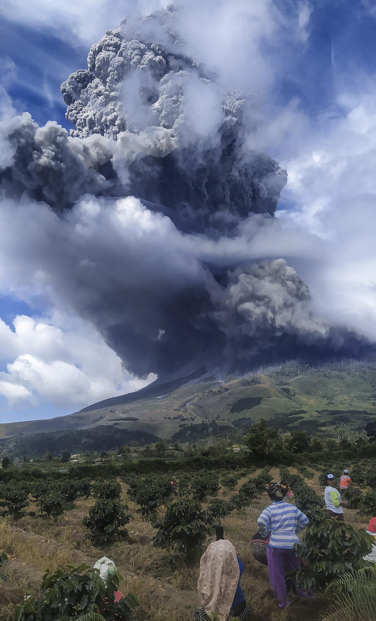 Gunung Sinabung Kembali...