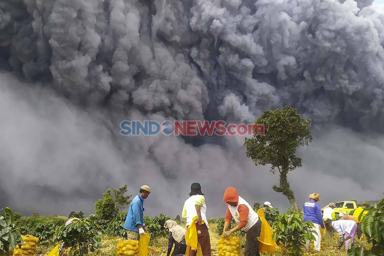 Gunung Sinabung Kembali...