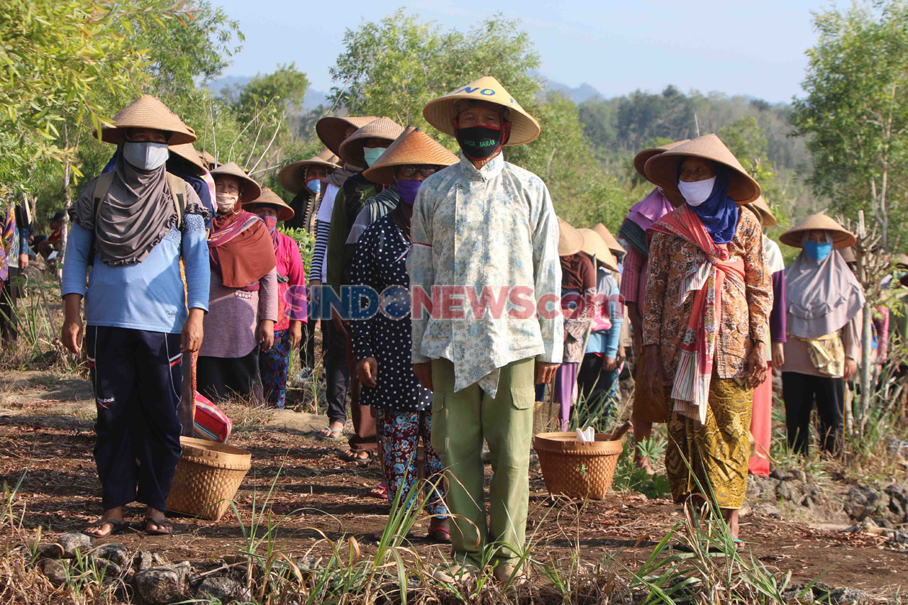 Sebelum ke Ladang, Petani...