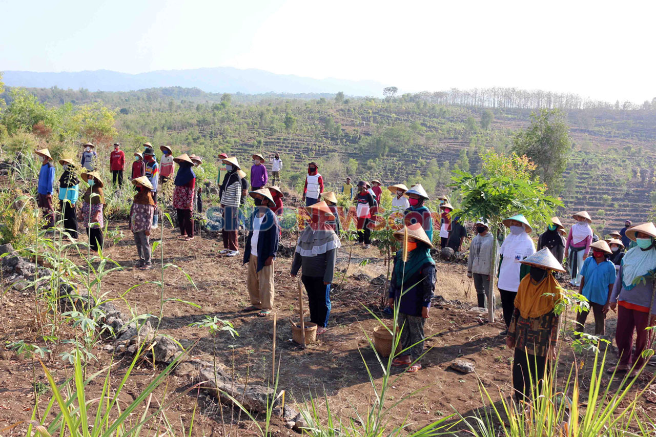 Sebelum ke Ladang, Petani...