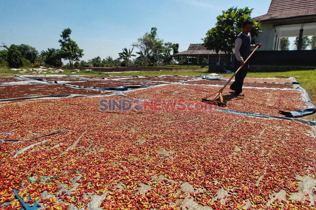 Petani di Purwakarta...