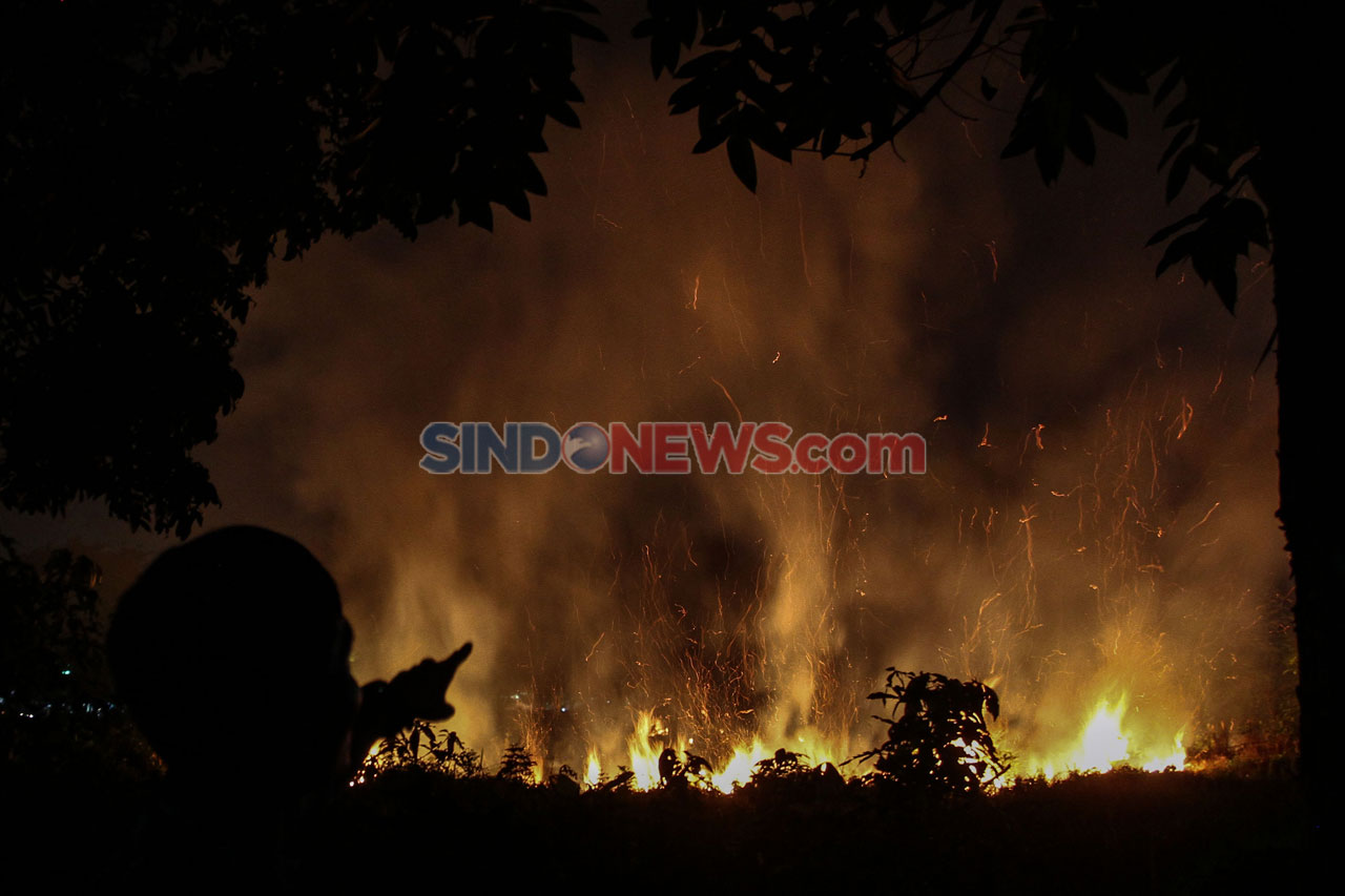 Kebakaran Lahan di Pekanbaru...