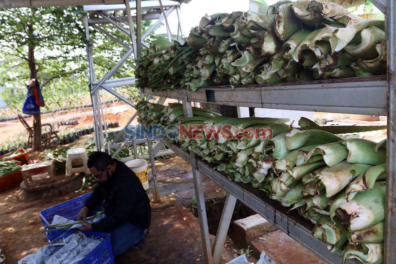 Raup Omzet Rp750 Juta...