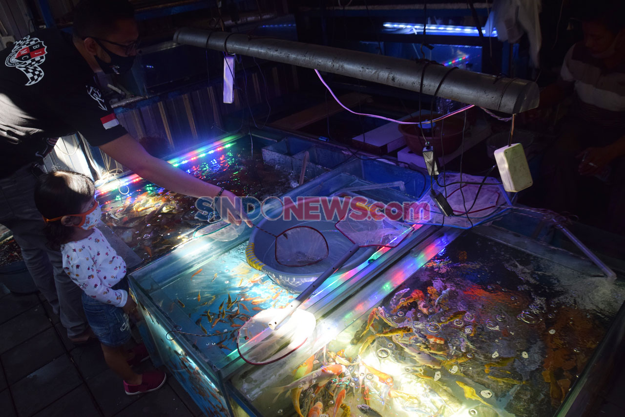 Permintaan Ikan Hias...