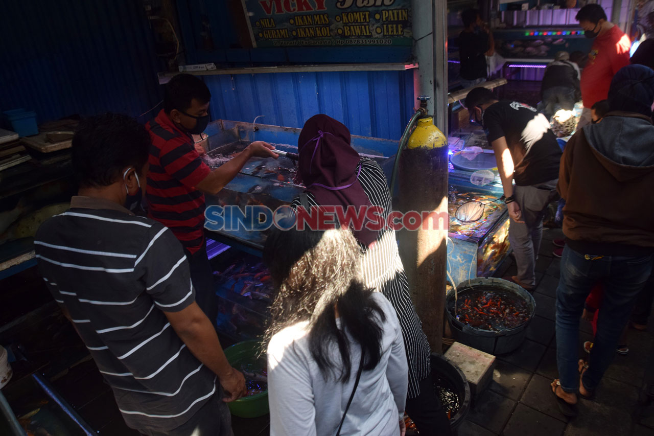 Permintaan Ikan Hias...