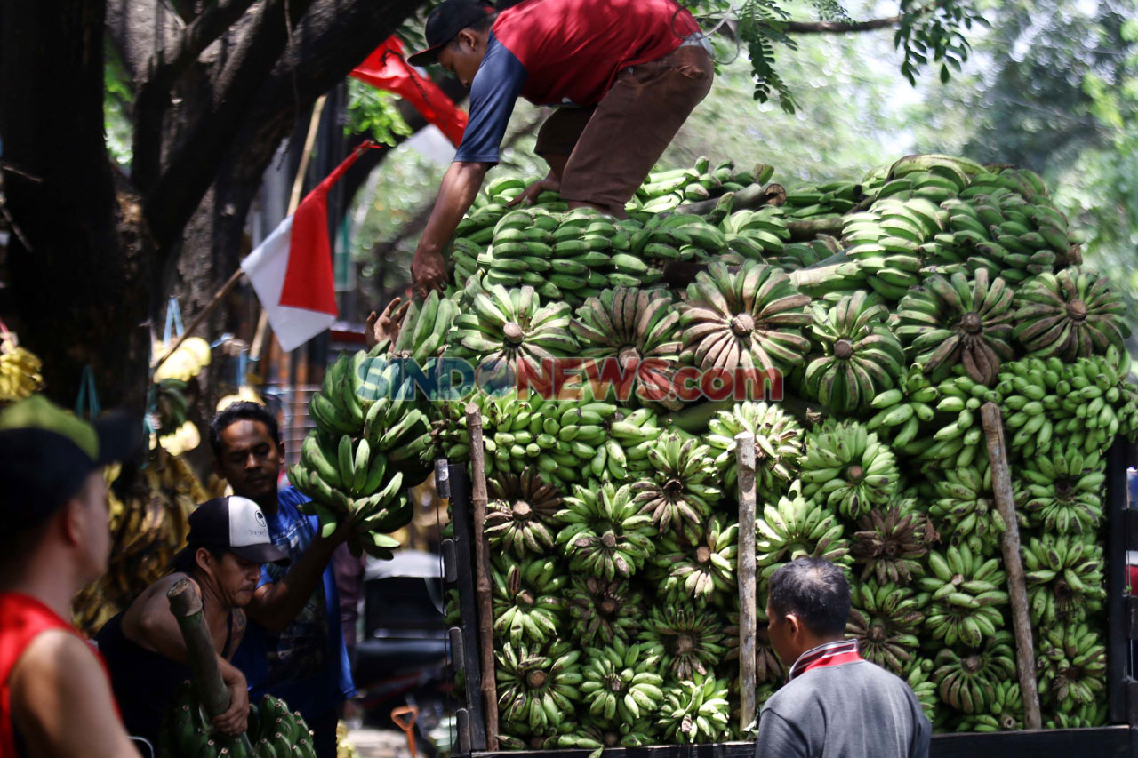 Kebutuhan Pisang Warga...