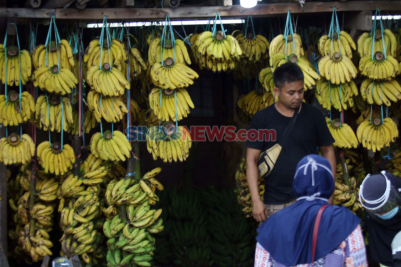 Kebutuhan Pisang Warga...