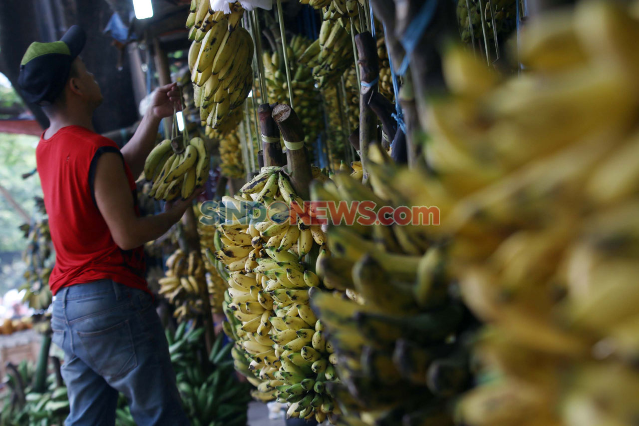 Kebutuhan Pisang Warga...