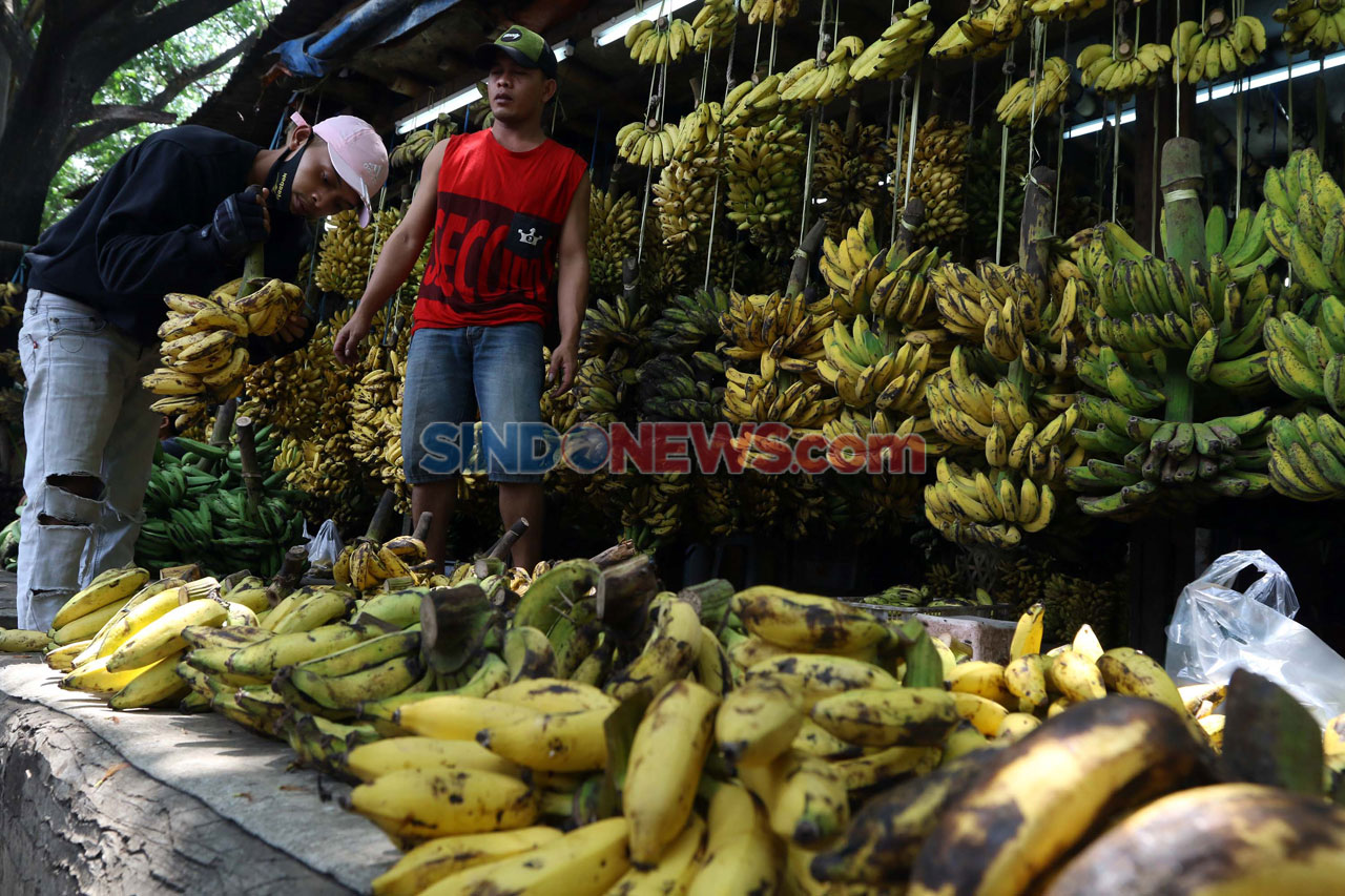 Kebutuhan Pisang Warga...