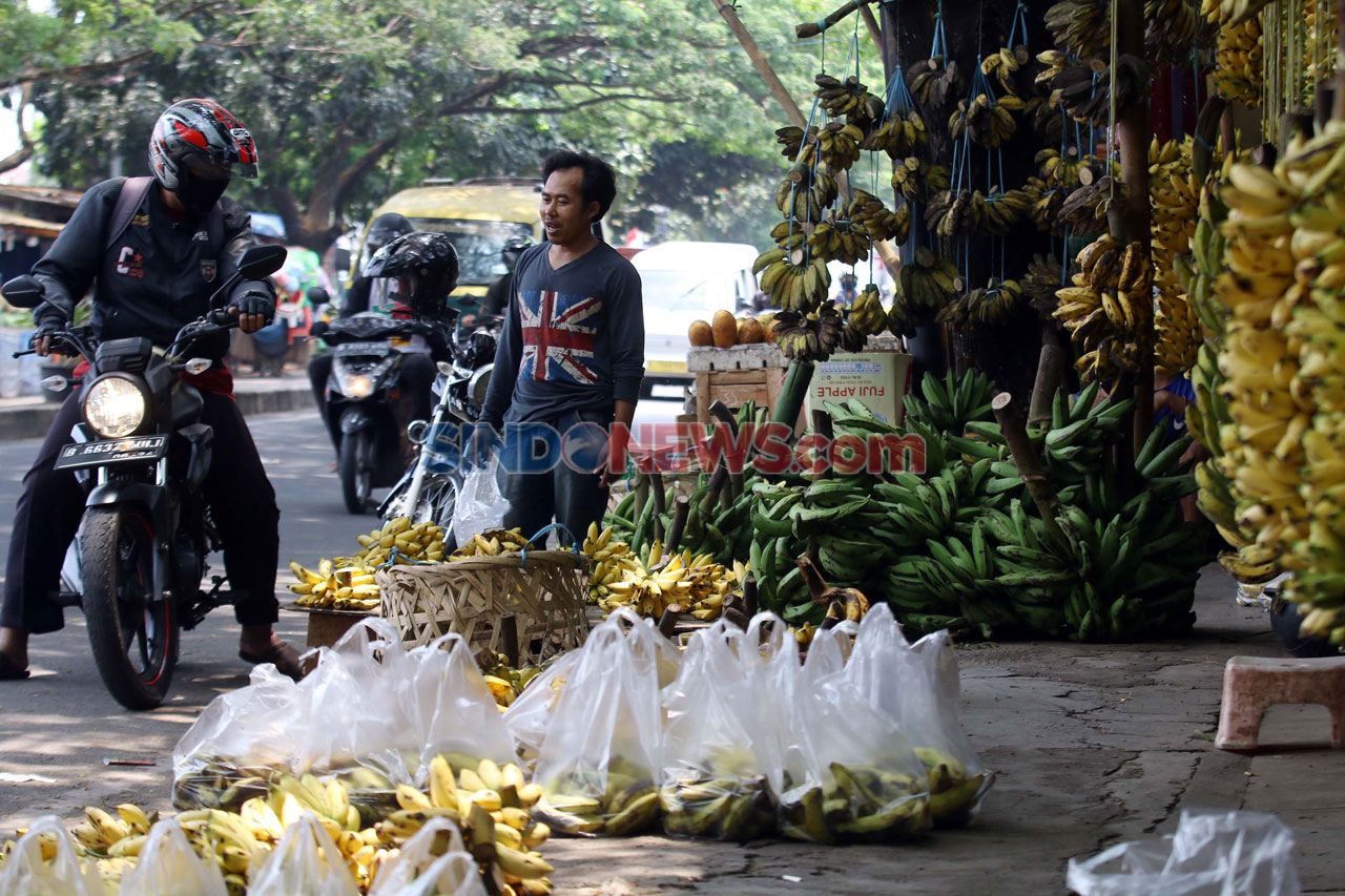Kebutuhan Pisang Warga...