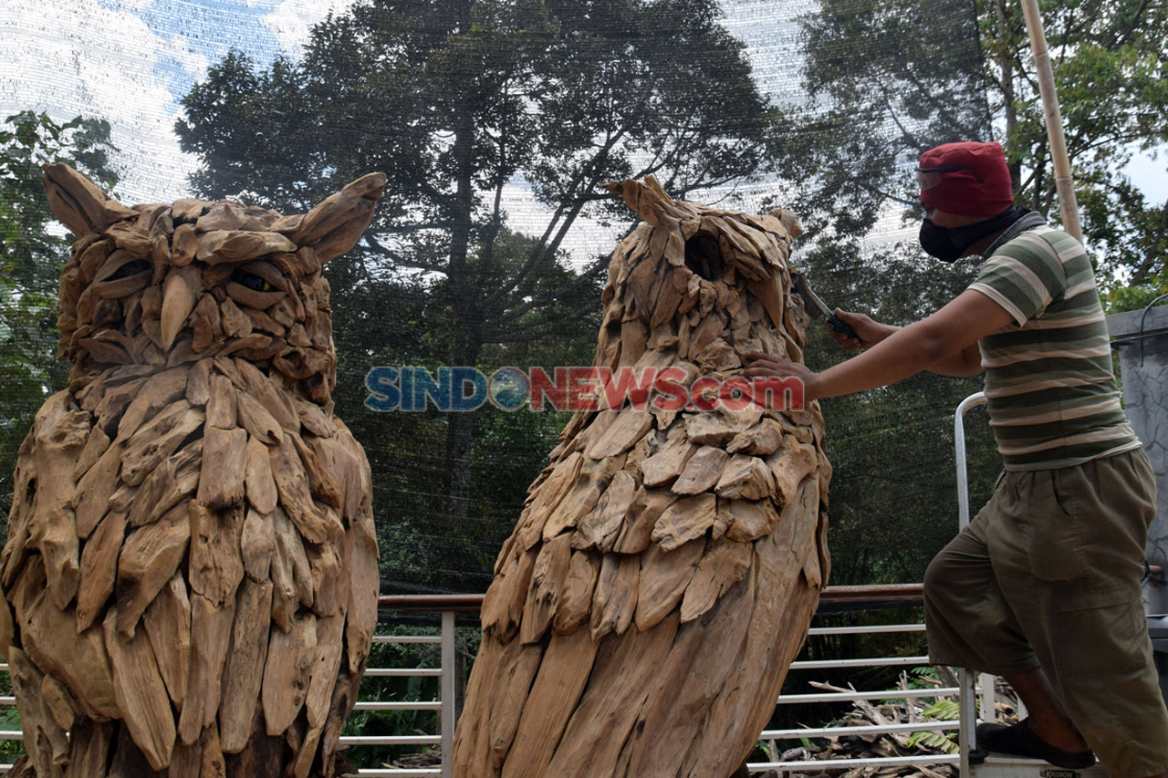 Patung-Patung Akar Kayu...