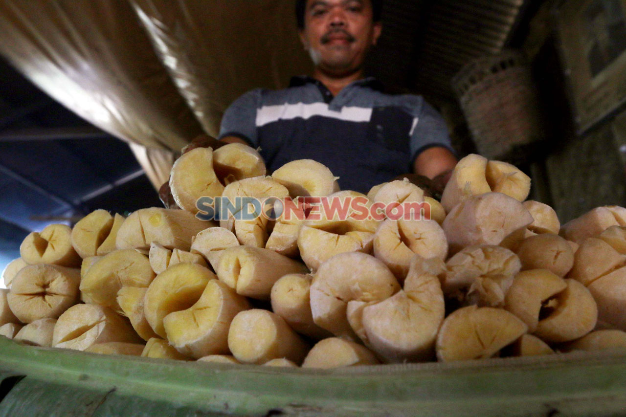 Industri Rumahan Tapai...
