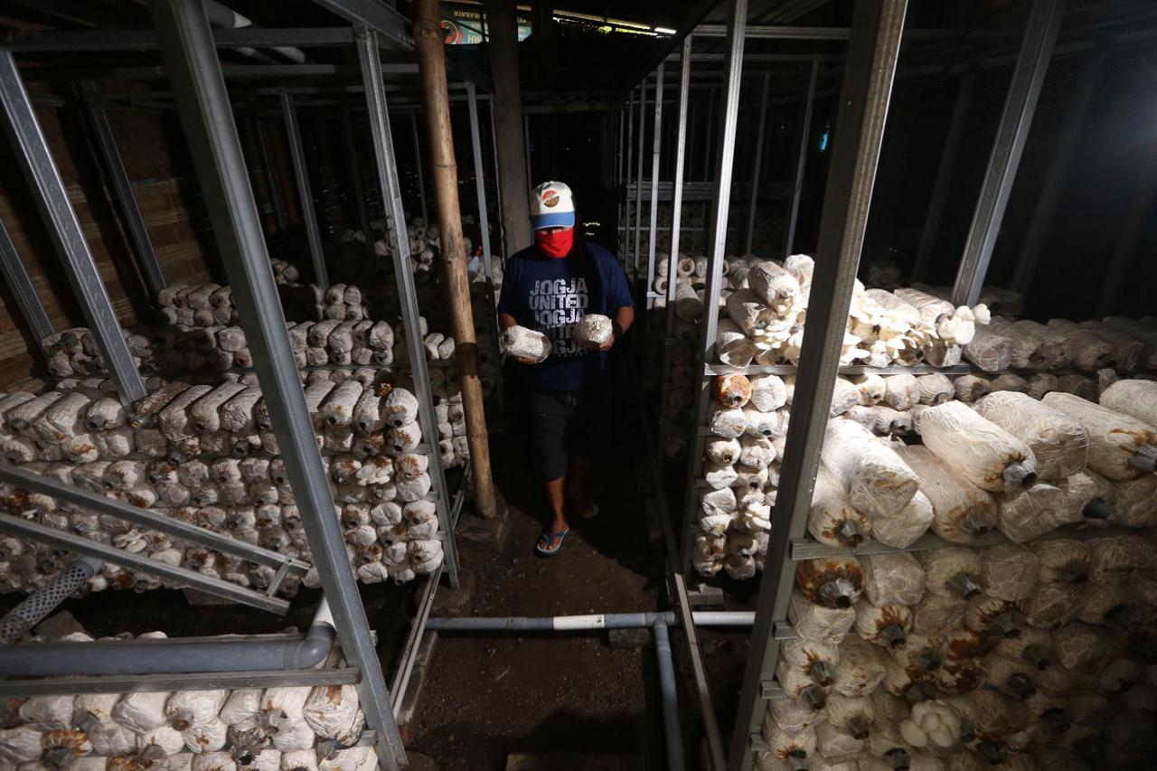 Selamatkan Ekonomi,...