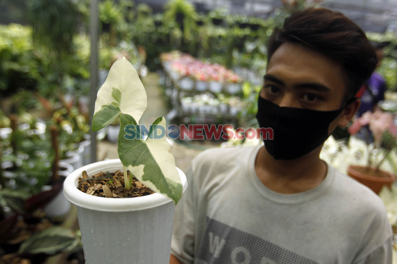 Libur Cuti Bersama,...