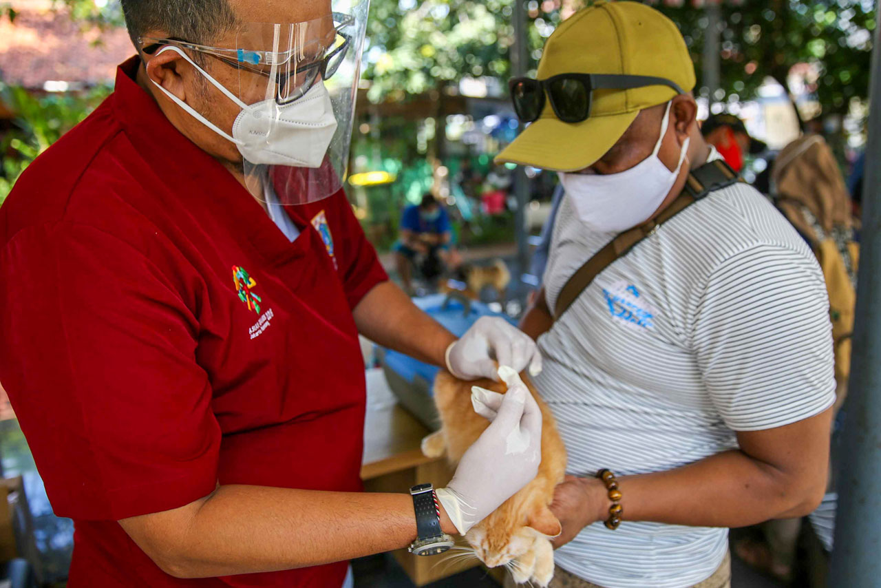 Cegah Penularan Rabies,...