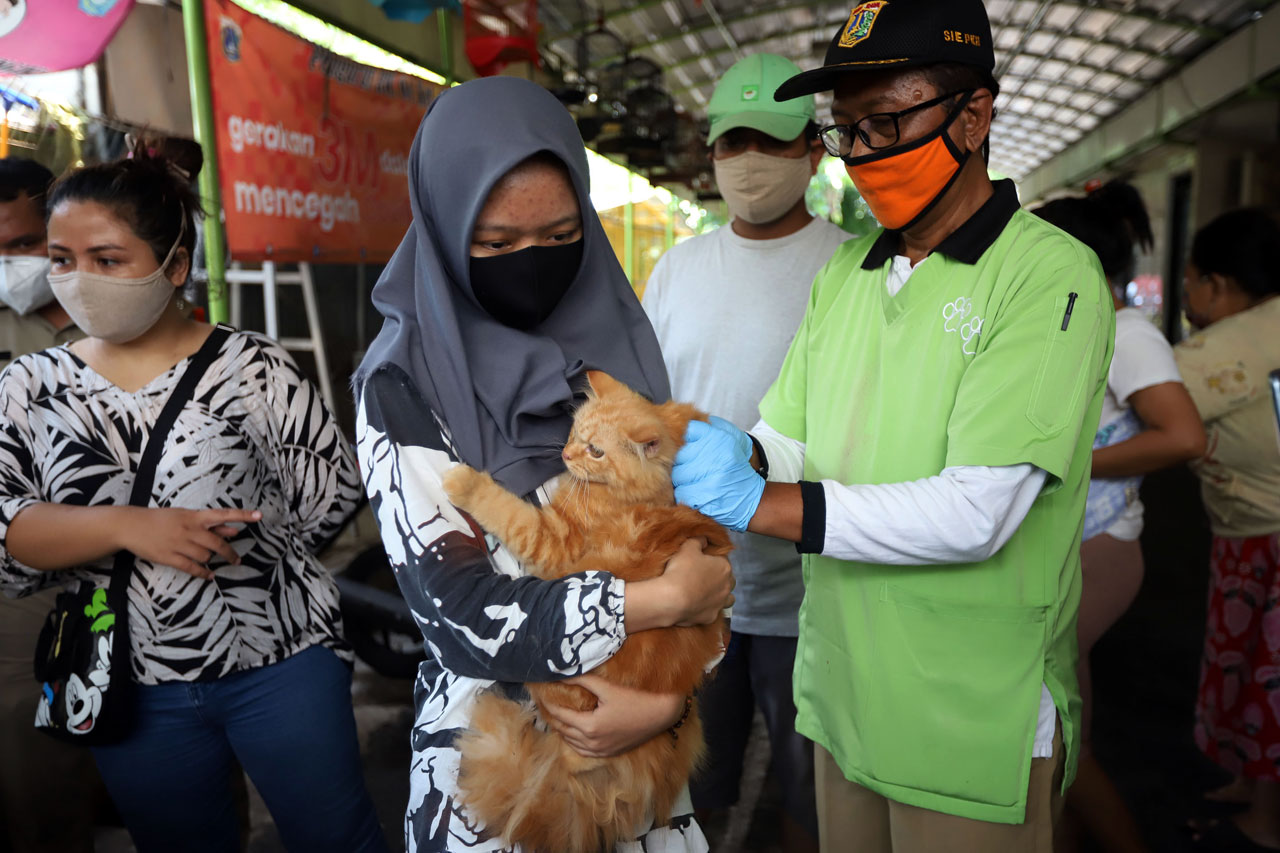 Program Vaksin Rabies...