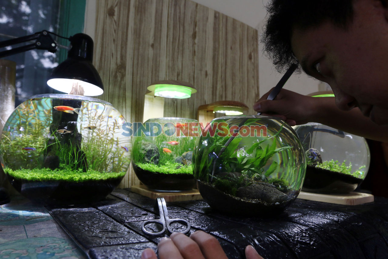 Bisnis Aquascape Mini...