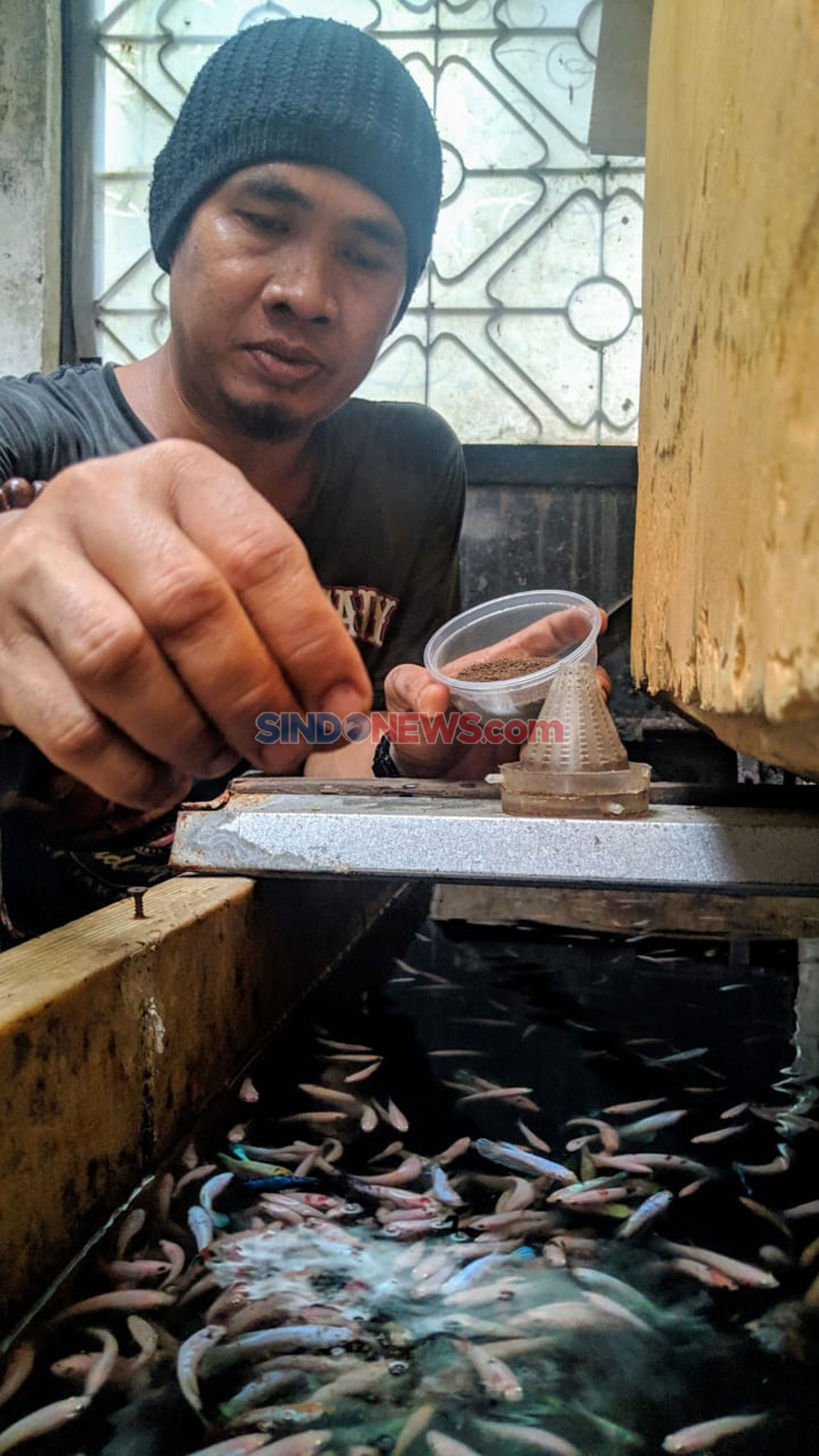 Di-PHK Imbas Pandemi...