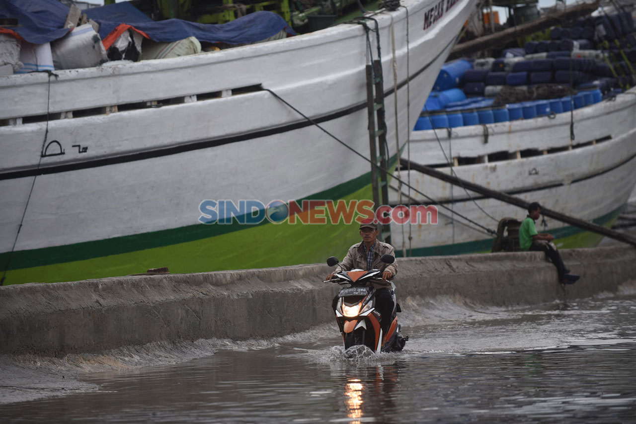 Banjir Rob Genangi Kawasan...