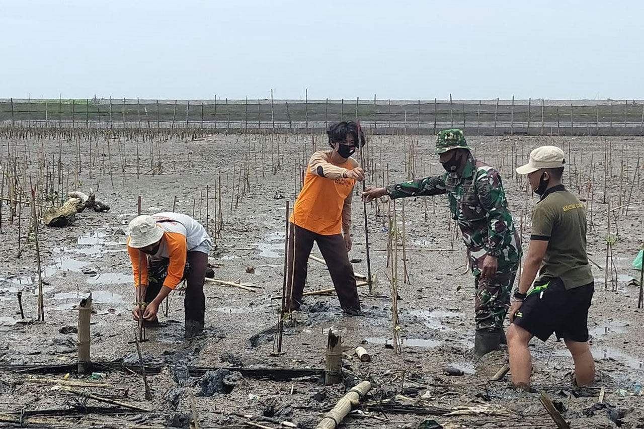 Lanal Yogyakarta Tanam...