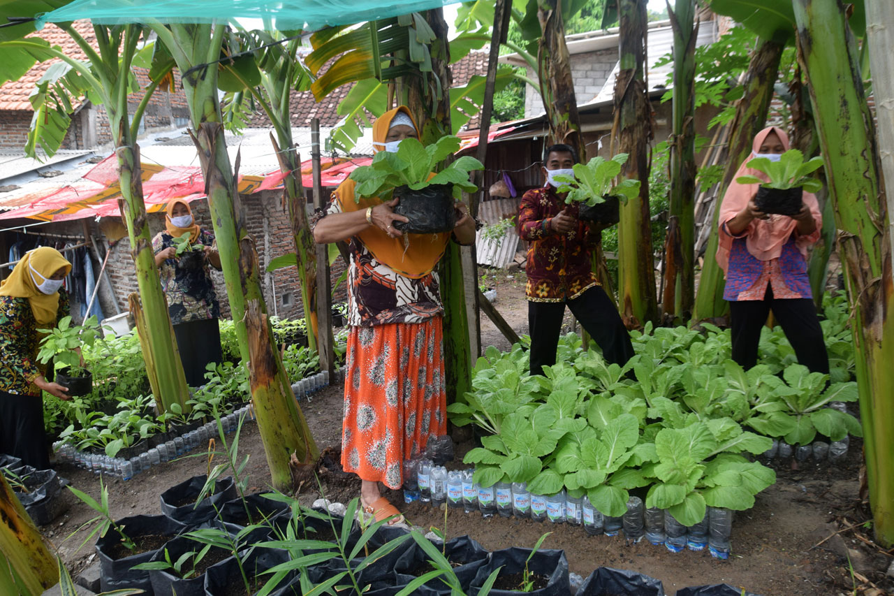 Warga Bambankerep Semarang...