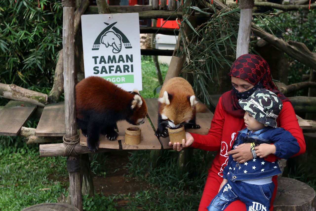 Taman Safari Bogor Batasi...