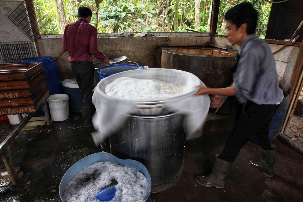Keren! Pembuat Tahu...