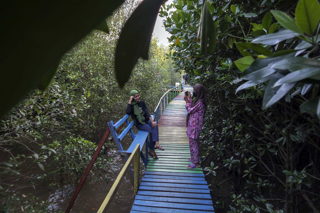 Ekowisata Mangrove Lantebung...