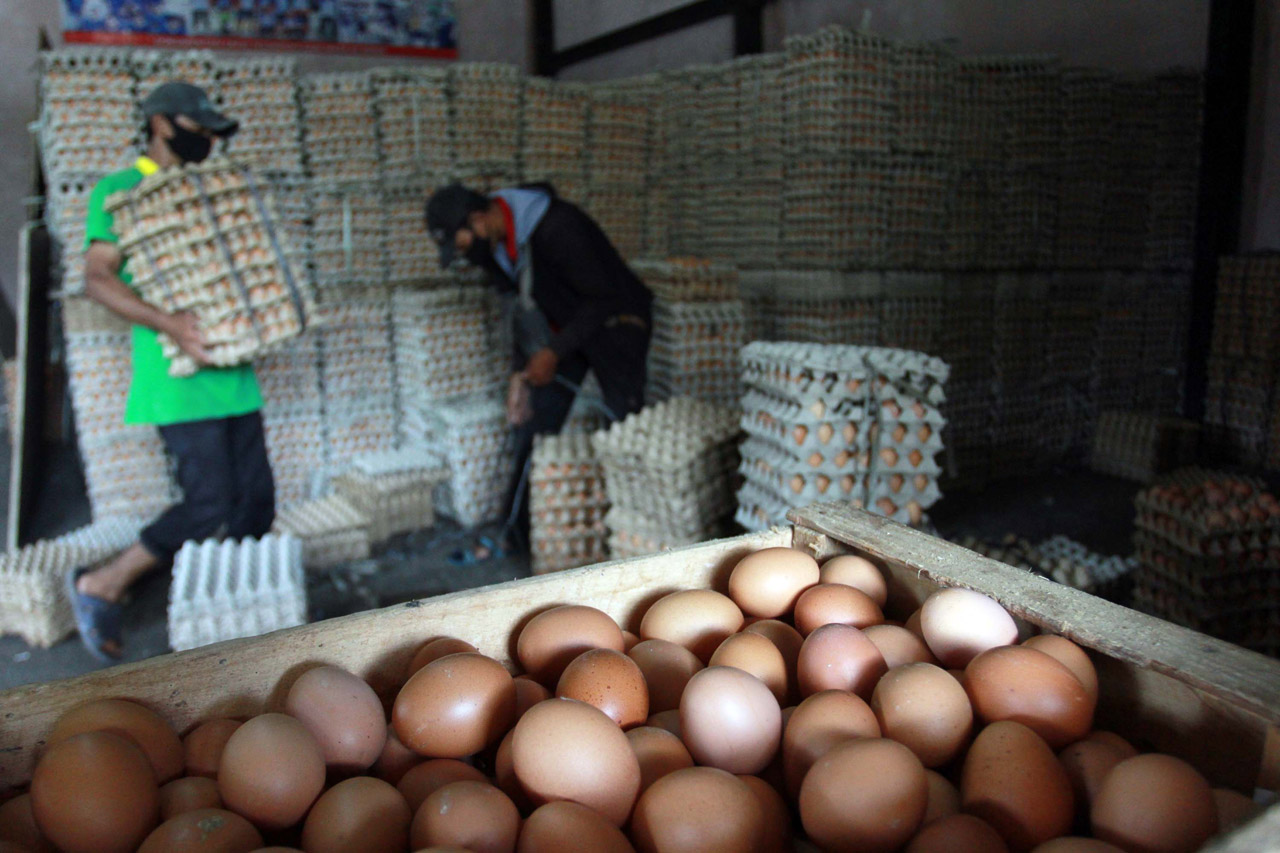 Harga Telur Ayam Naik...