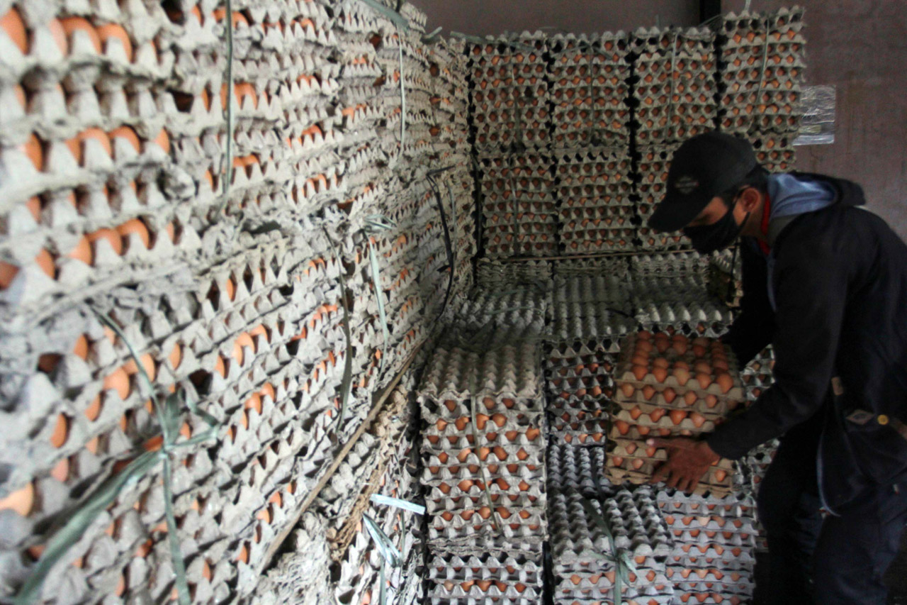 Harga Telur Ayam Naik...