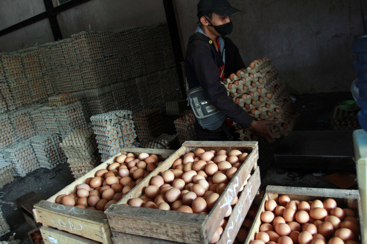 Harga Telur Ayam Naik...