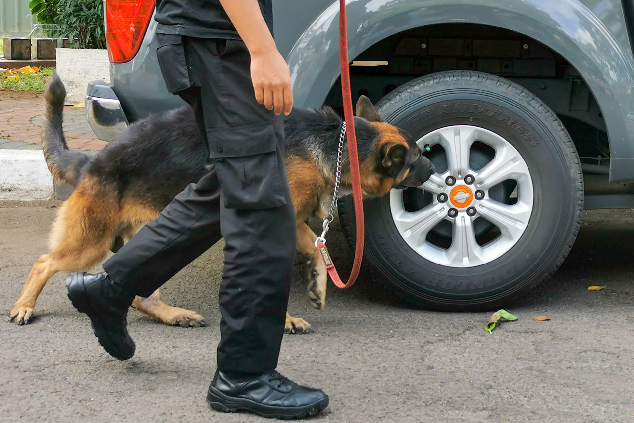 Pamdal DPR Latih Anjing...