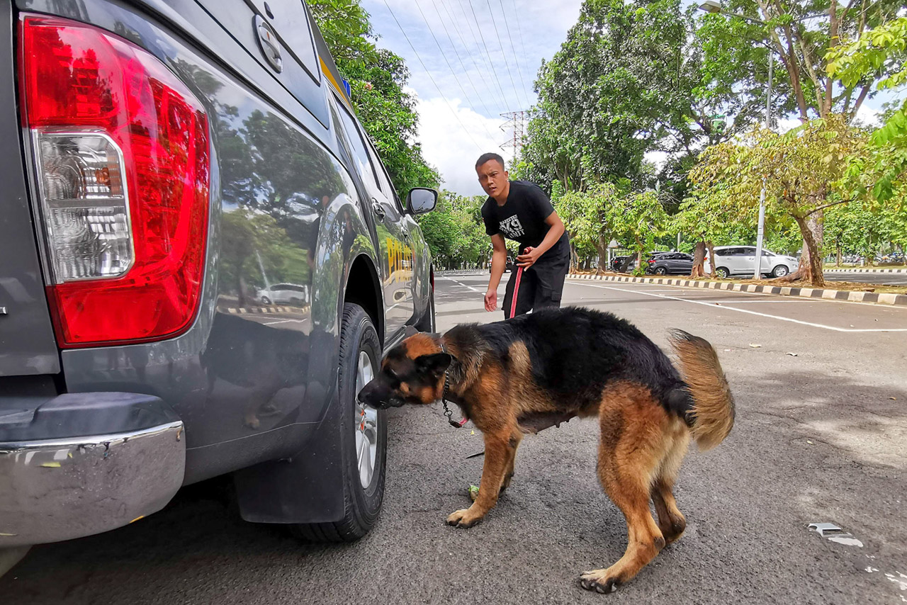 Pamdal DPR Latih Anjing...