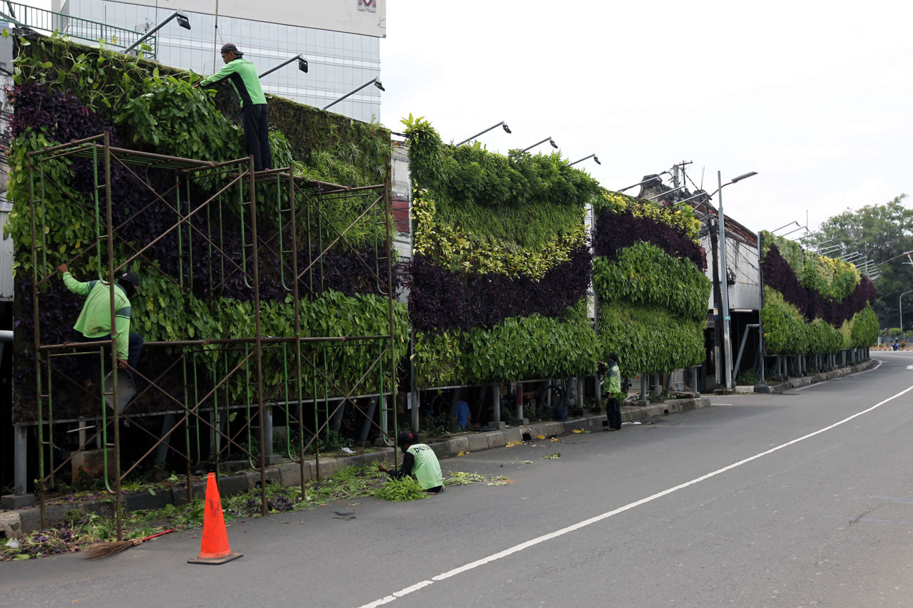 Perawatan Rutin Vertical...