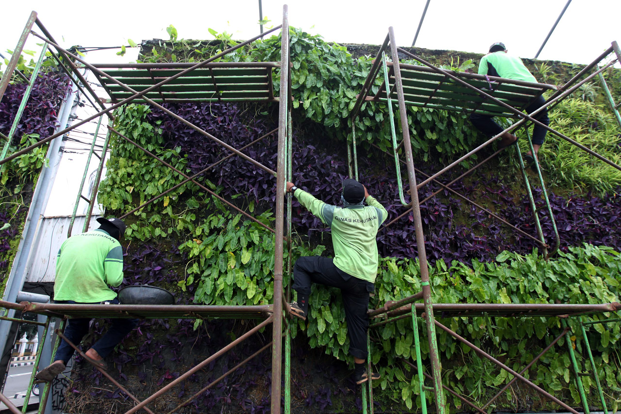 Perawatan Rutin Vertical...