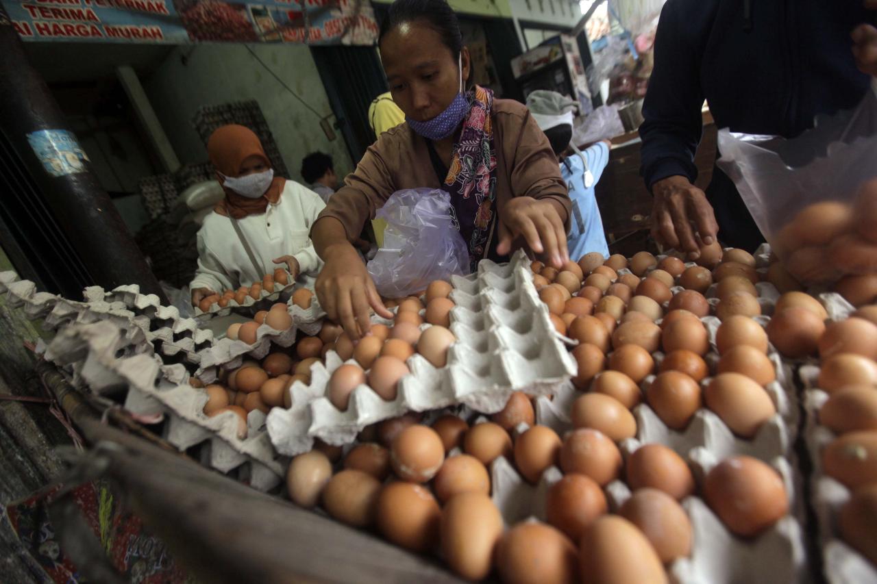 Turun jadi 20 Ribu/Kg,...