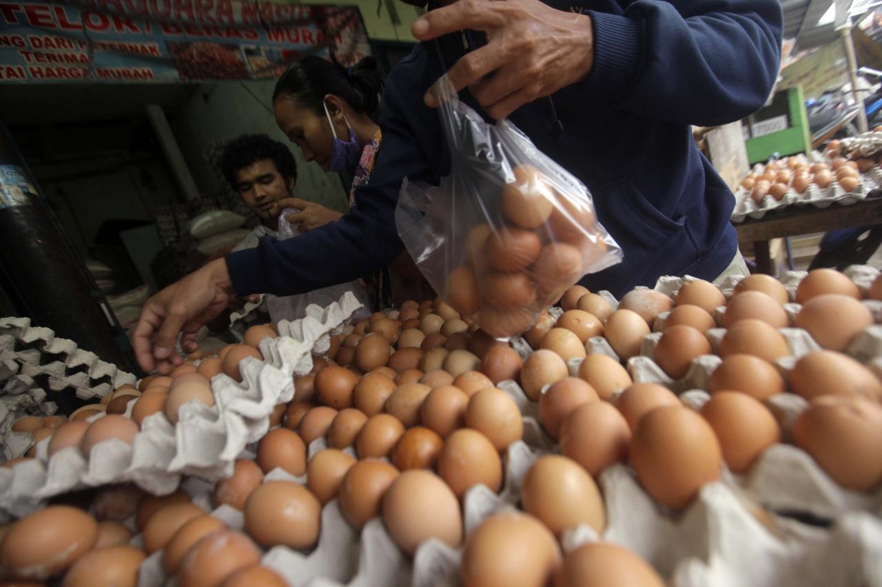Turun jadi 20 Ribu/Kg,...