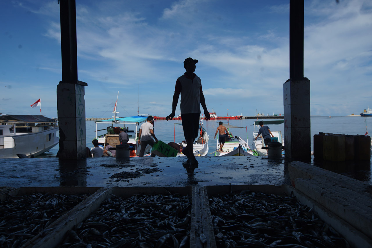 Gelombang Laut Tinggi,...