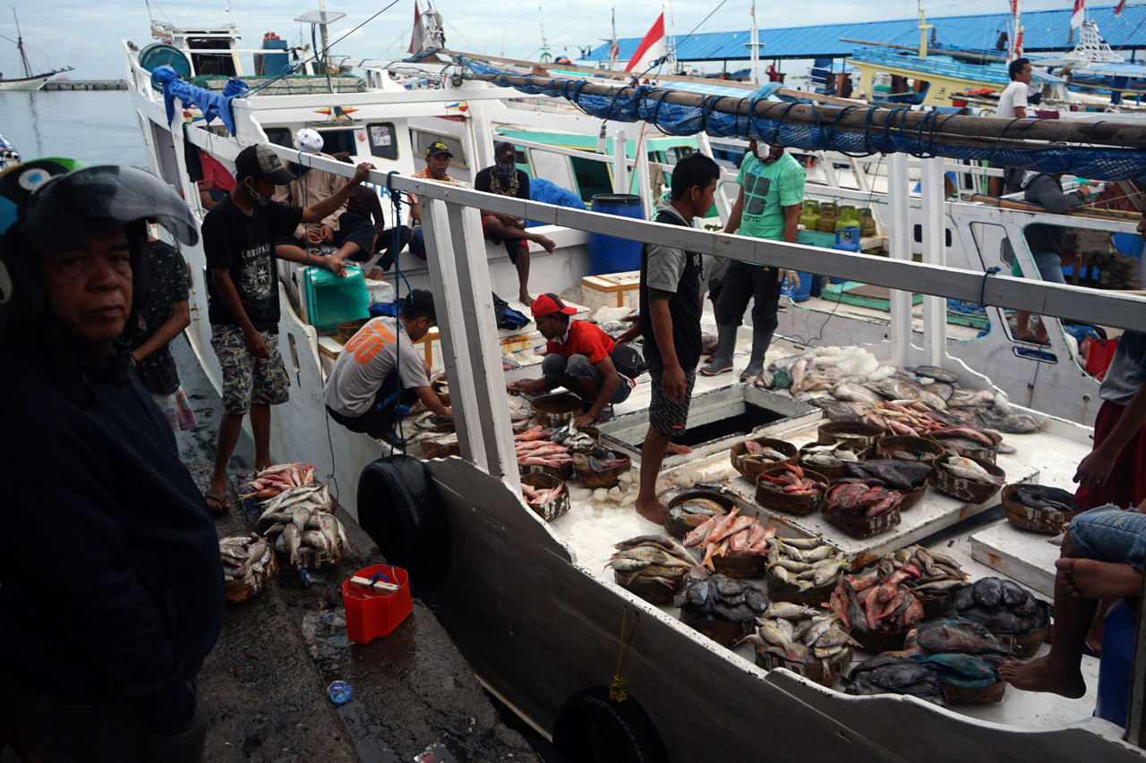Gelombang Laut Tinggi,...